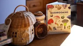 Book Review: Mushrooming - The joy of the quiet hunt