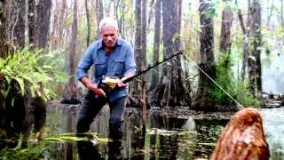 River Monsters: Alone in Victory*