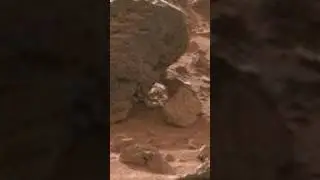 Metallic Device Discovered on Mars - SOL50  