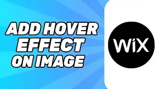 How to Add Hover Effect on Image in Wix (2024)