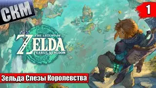 Legend of Zelda Tears of the Kingdom #1 — Слезы Королевства {Switch} прохождение часть 1