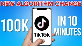 Small TikTok Accounts.. DO THIS to Get 100K Followers on TikTok in 10 Minutes (NEW Algorithm Update)