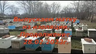 Выпускаем матку из изоляции. Продолжение Ч.3. и Ч.4. (30.03.2023)