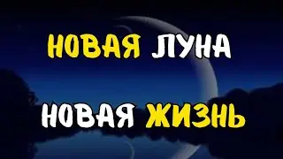 НОВОЛУНИЕ 🌙🧚‍♀️ НОВАЯ ЖИЗНЬ! 🍀💰 ЧЕГО ОЖИДАТЬ?! ТАРО РАСКЛАД ДЛЯ МУЖЧИН.+33602266229