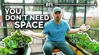 5 Ways to Grow More in Less Space