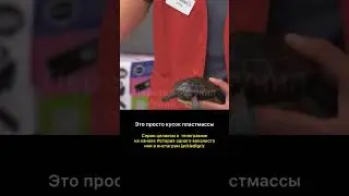 Эффект Карбонаро и черепаха