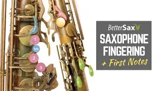 Beginner Saxophone Lesson 4 - Fingering and First Notes