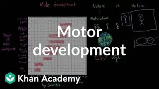 Motor development | Behavior | MCAT | Khan Academy