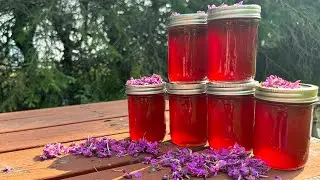 Wild Edibles: Harvesting Fireweed Blossoms for Delightful Jelly Making