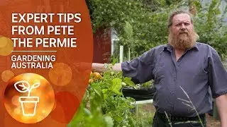 Expert tips on sustainable orchard growing from Pete the Permie