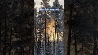 Спб засыпало снегом как в Лапландии ❄️