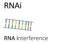 RNAi - RNA interference