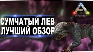 Сумчатый лев (thylacoleo)  в АРК. Лучший обзор: приручение, разведение и способности  в ark