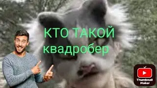 ✅КТО ТАКОЙ КВАДРОБЕР?