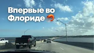 Впервые во Флориде. Дейтона Бич