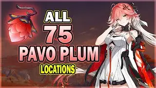 All 75 Pavo Plum Locations in Wuthering Waves - Efficient Farming Route