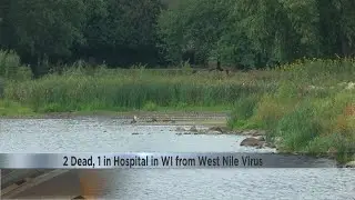 Wisconsin health officials respond to confirmed West Nile deaths