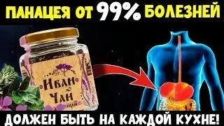 ЧТОБЫ ЖИТЬ 100 ЛЕТ ПЕЙ ЭТО КАЖДЫЙ ДЕНЬ! Иван Чай 🌿 Полезные свойства