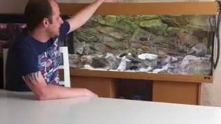 How to set up an African Cichlid Tank - Setting up your tank - Part 2