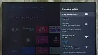 PANASONIC Android TV : How to Enable Developer Options | Disable Developer Options