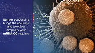 Webinar: mRNA vaccine QC