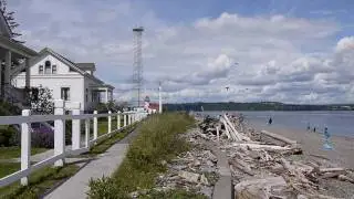 Vashon Kite Festival